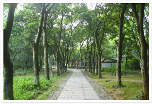 欧美达大学生实训营地3
