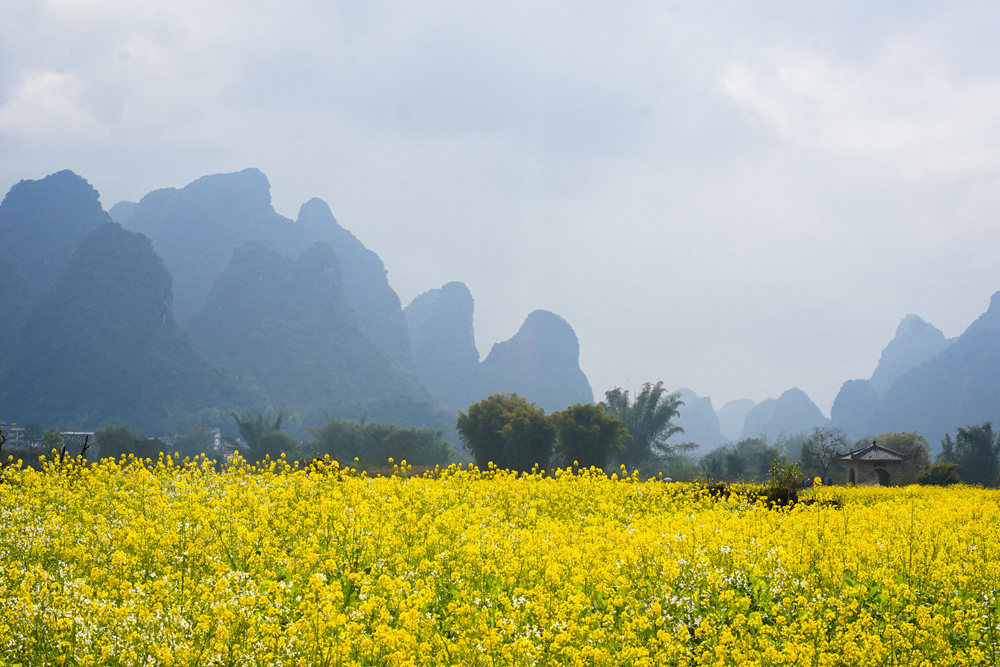 <font color='#FF0000'>骑行日记 Diary of Cycling</font>